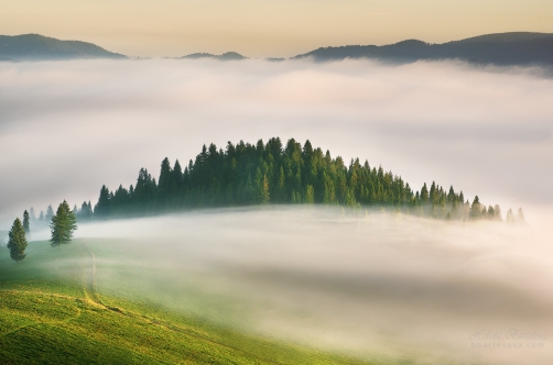 MLHY V PIENINÁCH (NP Pieniny, Slovensko)