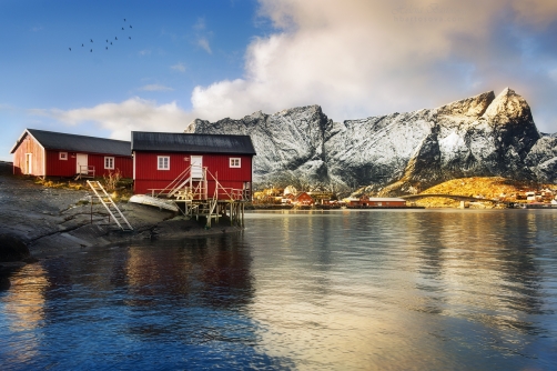 TYPICKÉ CHATKY (Sakrisøya, Norsko)